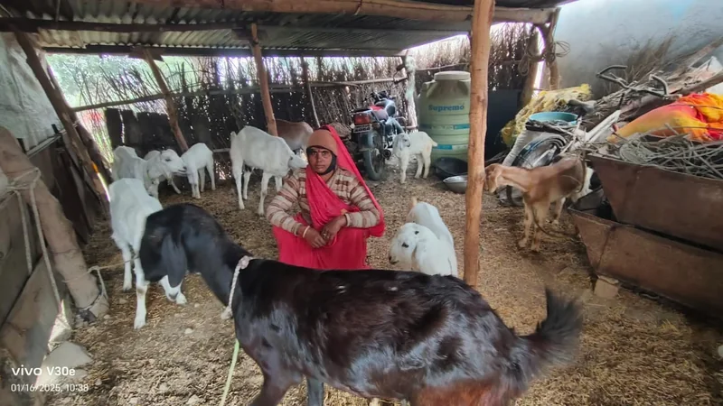 स्व-सहायता समूह से जुड़कर शारदा दीदी ने बदली परिवार की आर्थिक स्थिति