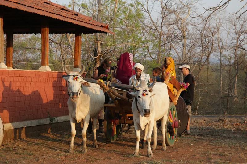 सेवा संकल्प अभियान: सफलता की कहानी मध्यप्रदेश शासन की ग्रामीण पर्यटन नीति से प्रकृति, संस्कृति और रोजगार के…